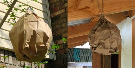 fake wasp nest bag|do wasp nests really work.